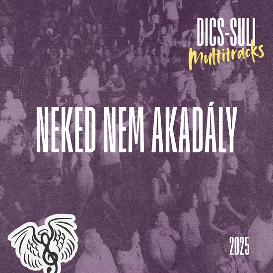 Neked nem akadály - Multitracks